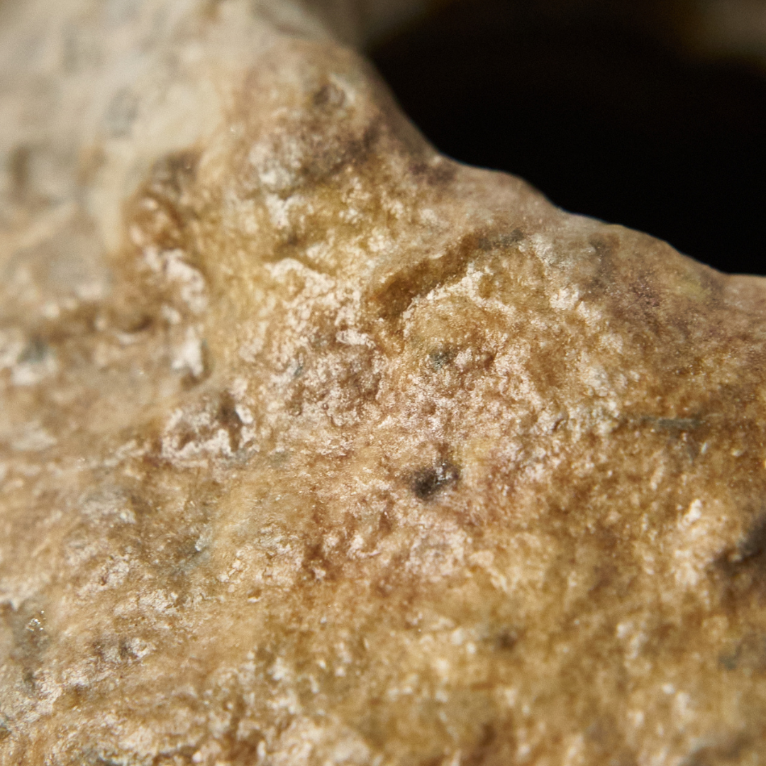 Uovo di dinosauro * woodfired