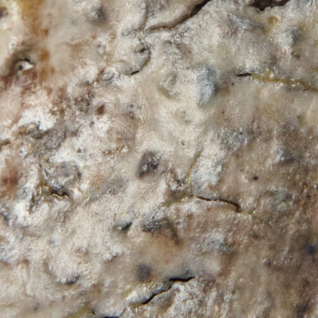 Uovo di dinosauro * woodfired