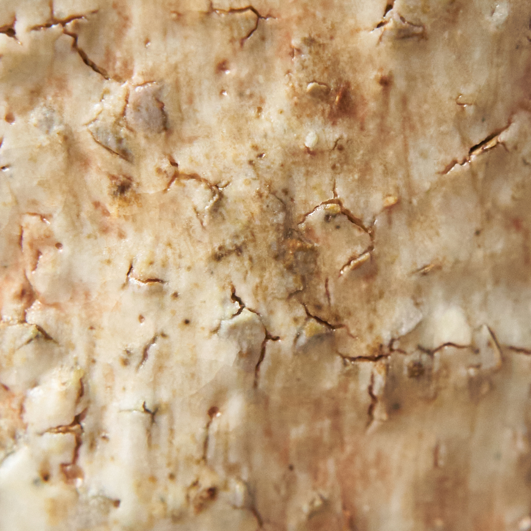 Uovo di dinosauro * woodfired