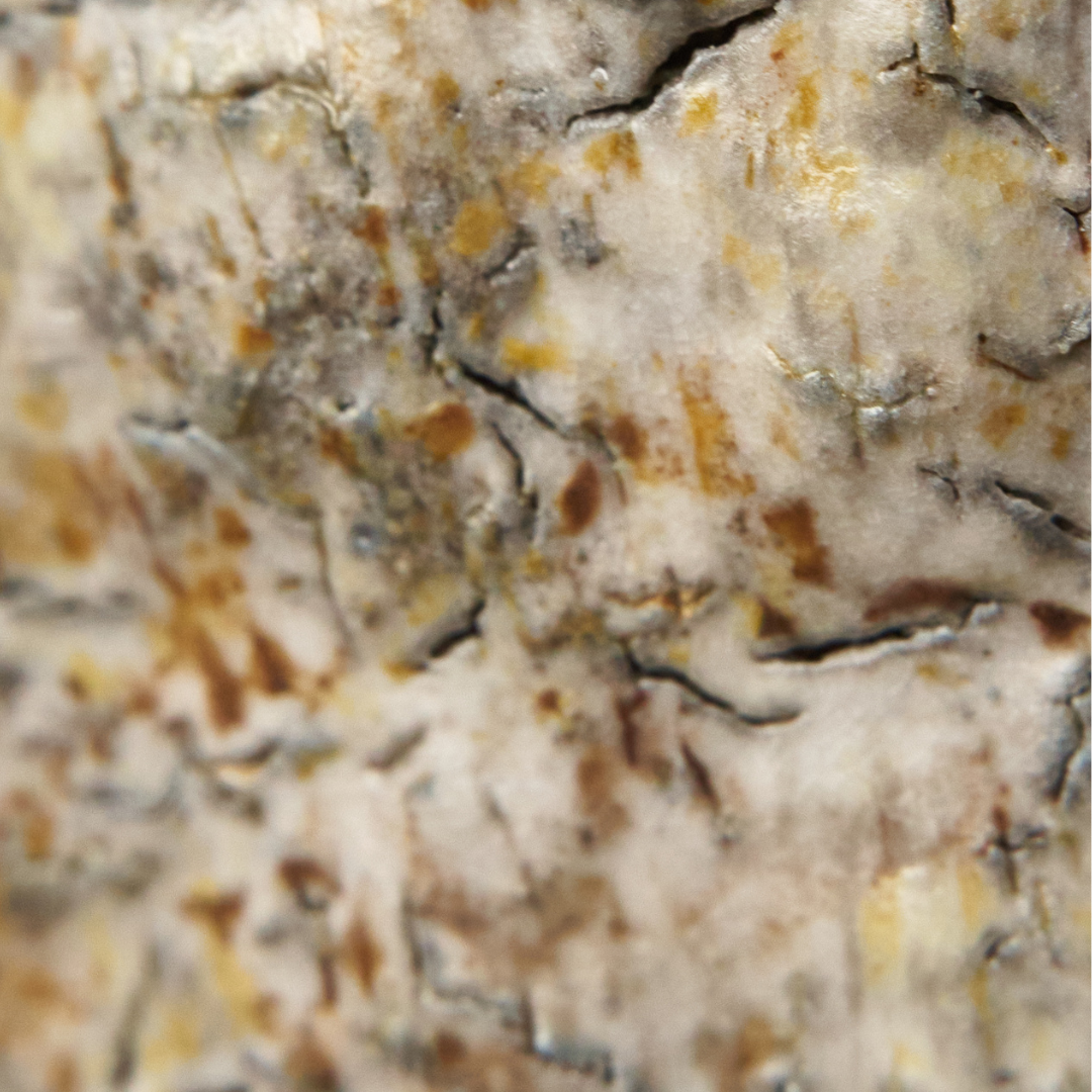 Bottiglia * woodfired