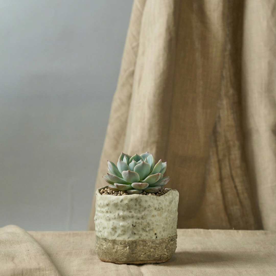 Cachepot * woodfired