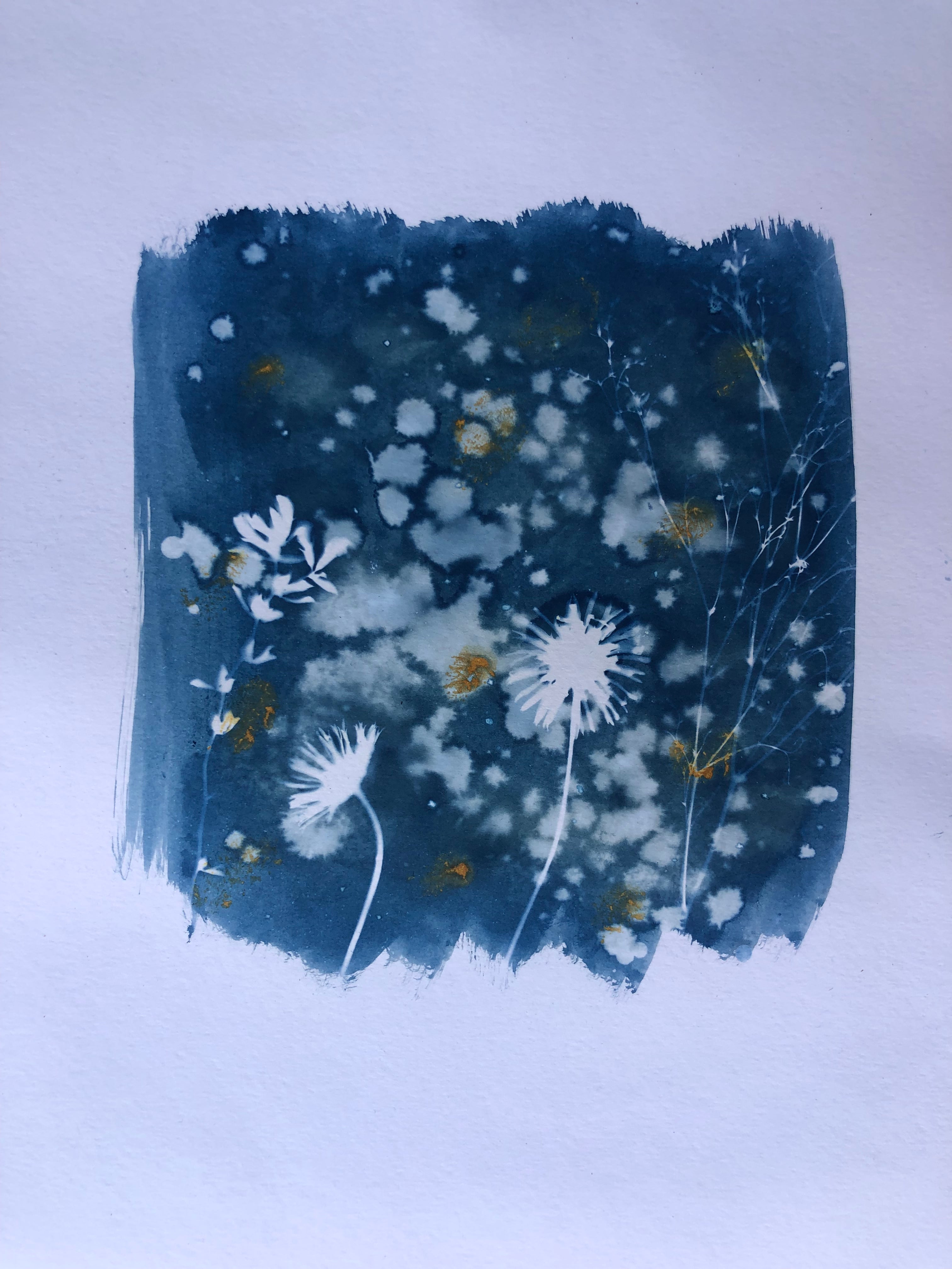 Cianotipia su ceramica - workshop di gruppo