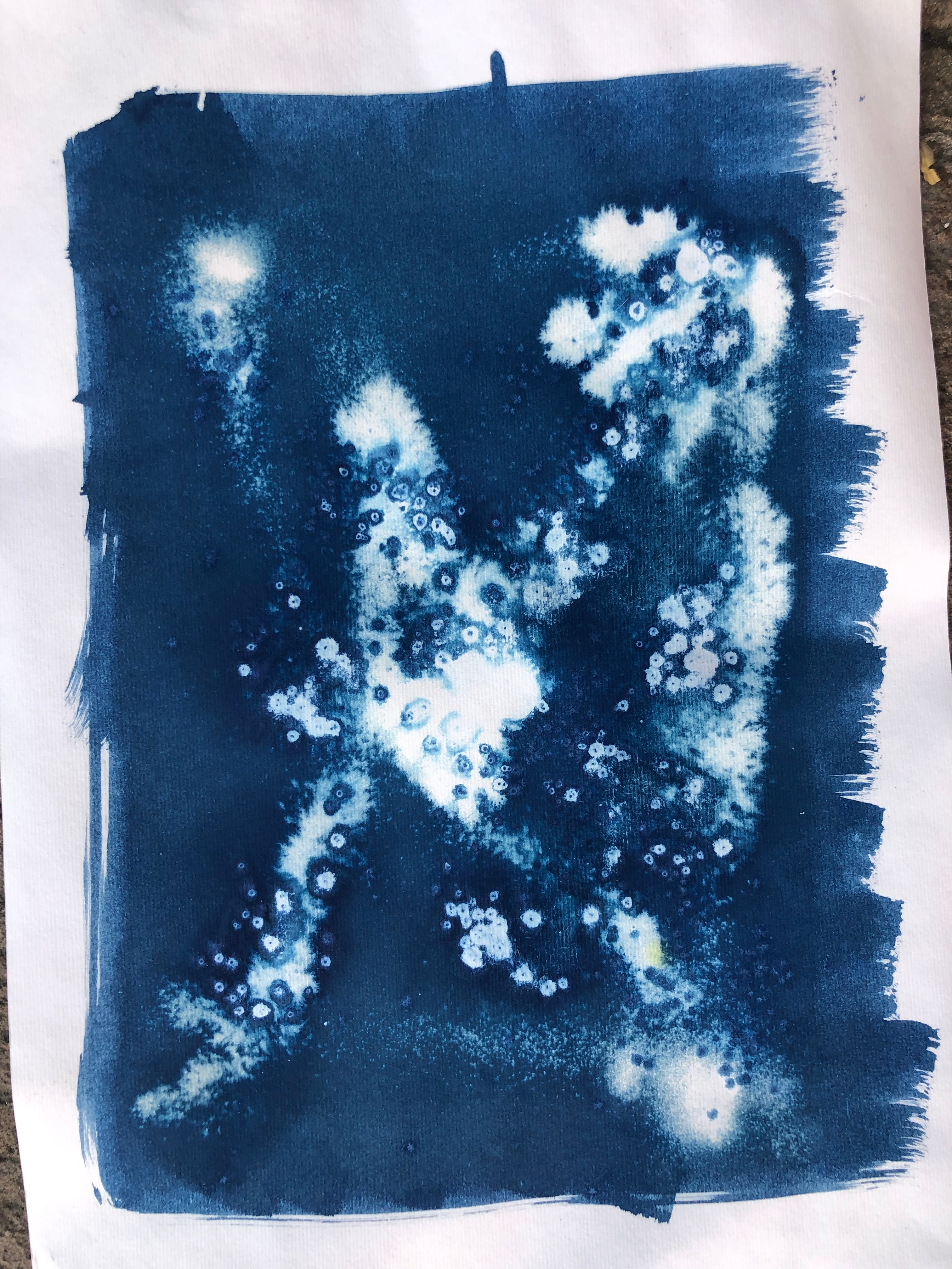 Cianotipia su ceramica - workshop di gruppo