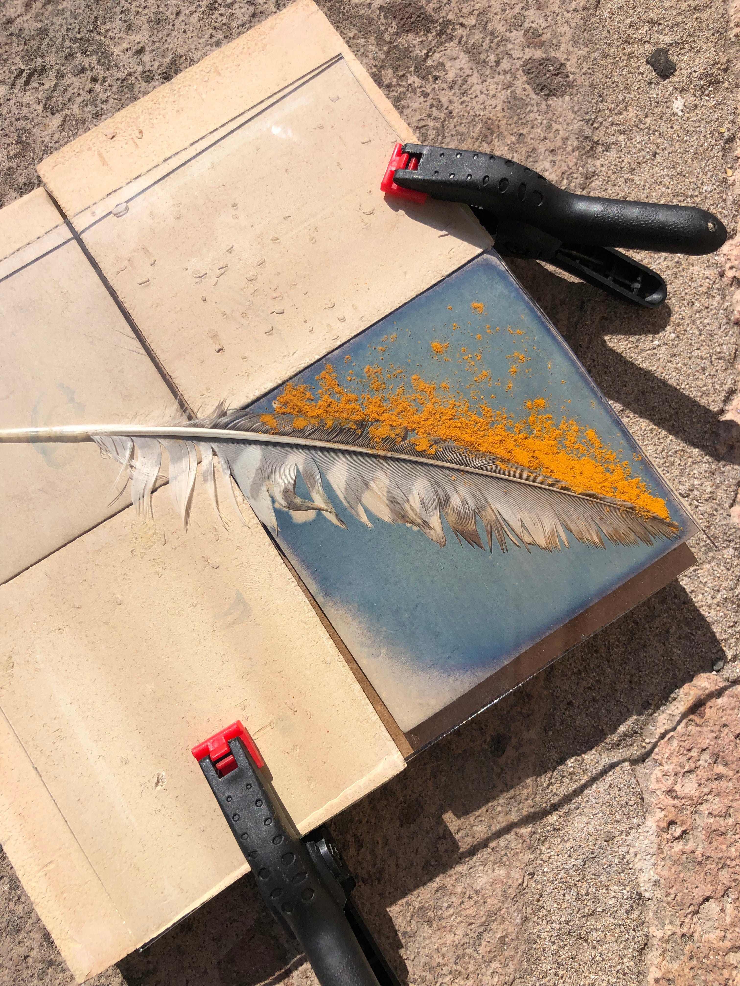 Cianotipia su ceramica - workshop di gruppo