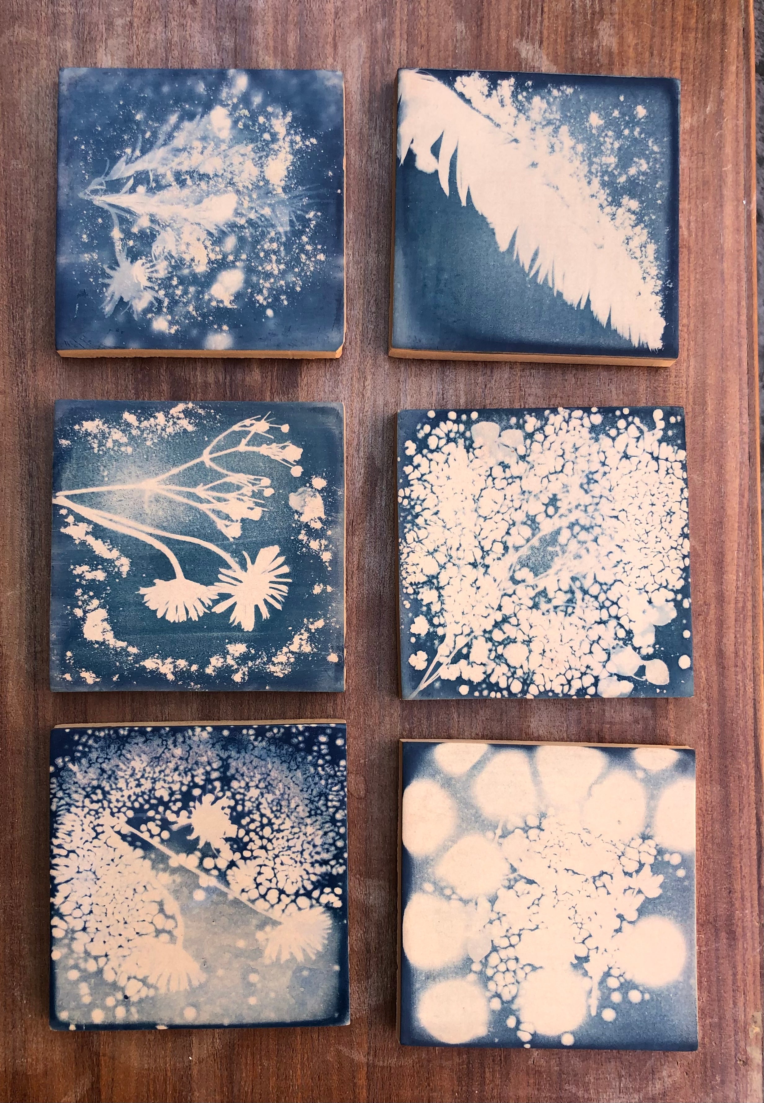 Cianotipia su ceramica - workshop di gruppo